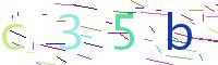 Verify Code