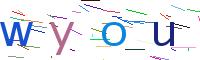 Verify Code
