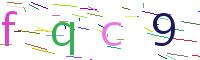 Verify Code