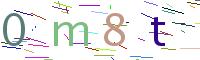 Verify Code