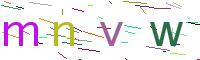 Verify Code