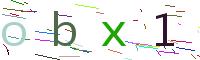 Verify Code