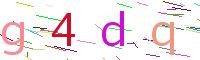 Verify Code