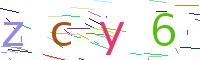 Verify Code