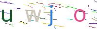 Verify Code