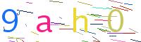 Verify Code