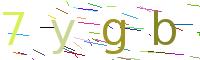 Verify Code