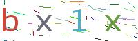 Verify Code