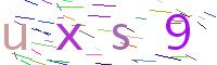 Verify Code