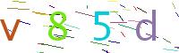 Verify Code