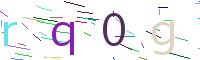 Verify Code