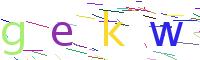 Verify Code