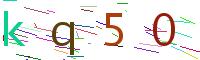 Verify Code