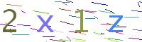 Verify Code