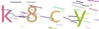 Verify Code
