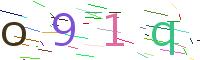 Verify Code
