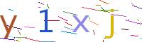 Verify Code
