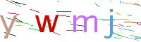 Verify Code