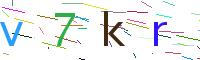 Verify Code