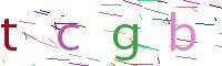 Verify Code