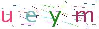 Verify Code