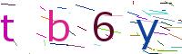 Verify Code