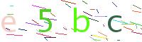 Verify Code
