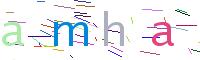 Verify Code