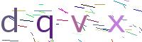 Verify Code