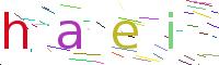 Verify Code