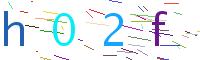 Verify Code