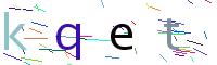 Verify Code
