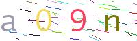 Verify Code