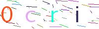 Verify Code