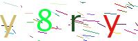 Verify Code