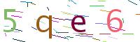 Verify Code
