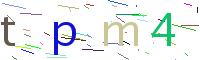Verify Code