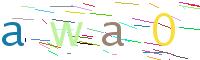 Verify Code