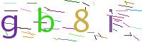 Verify Code