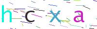 Verify Code