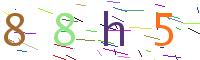 Verify Code