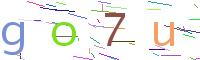 Verify Code