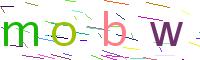 Verify Code
