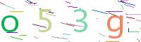 Verify Code