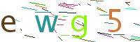 Verify Code