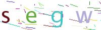 Verify Code