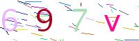 Verify Code