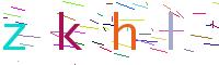 Verify Code