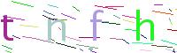 Verify Code