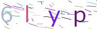 Verify Code